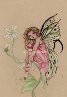 Daisy fairy